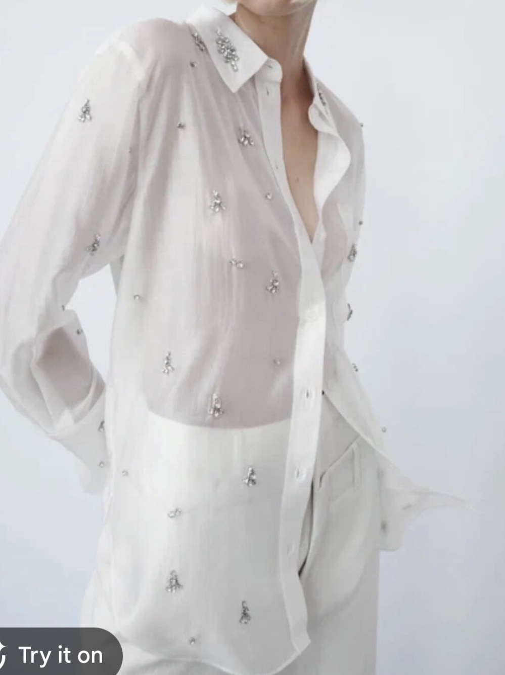 Zara Oyster White Embellished Sheer Button-Down Shirt